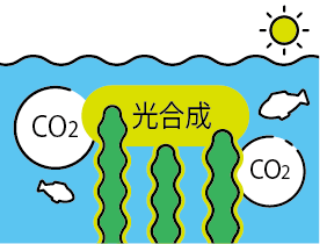CO2吸収イメージ図